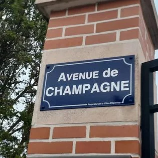 Champagnenovicen.dk